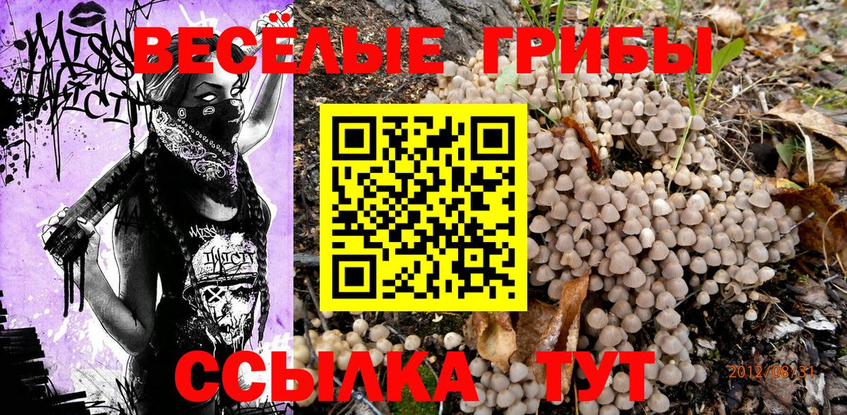 Псилоцибиновые грибы MAGIC MUSHROOMS  Вход с VPN  Галлюциногенные грибы MAGIC MUSHROOMS  Арзамас 